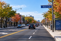 Ontario Completes Bloor Street West Bike Lane Removal, Restores Traffic Lanes