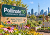 Toronto Community Projects Eligible for Up to $5,000 in Funding, Applications Close October 28